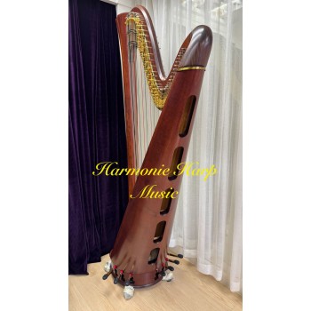 2nd Hand Salvi Daphne 47S Strings Pedal Harp